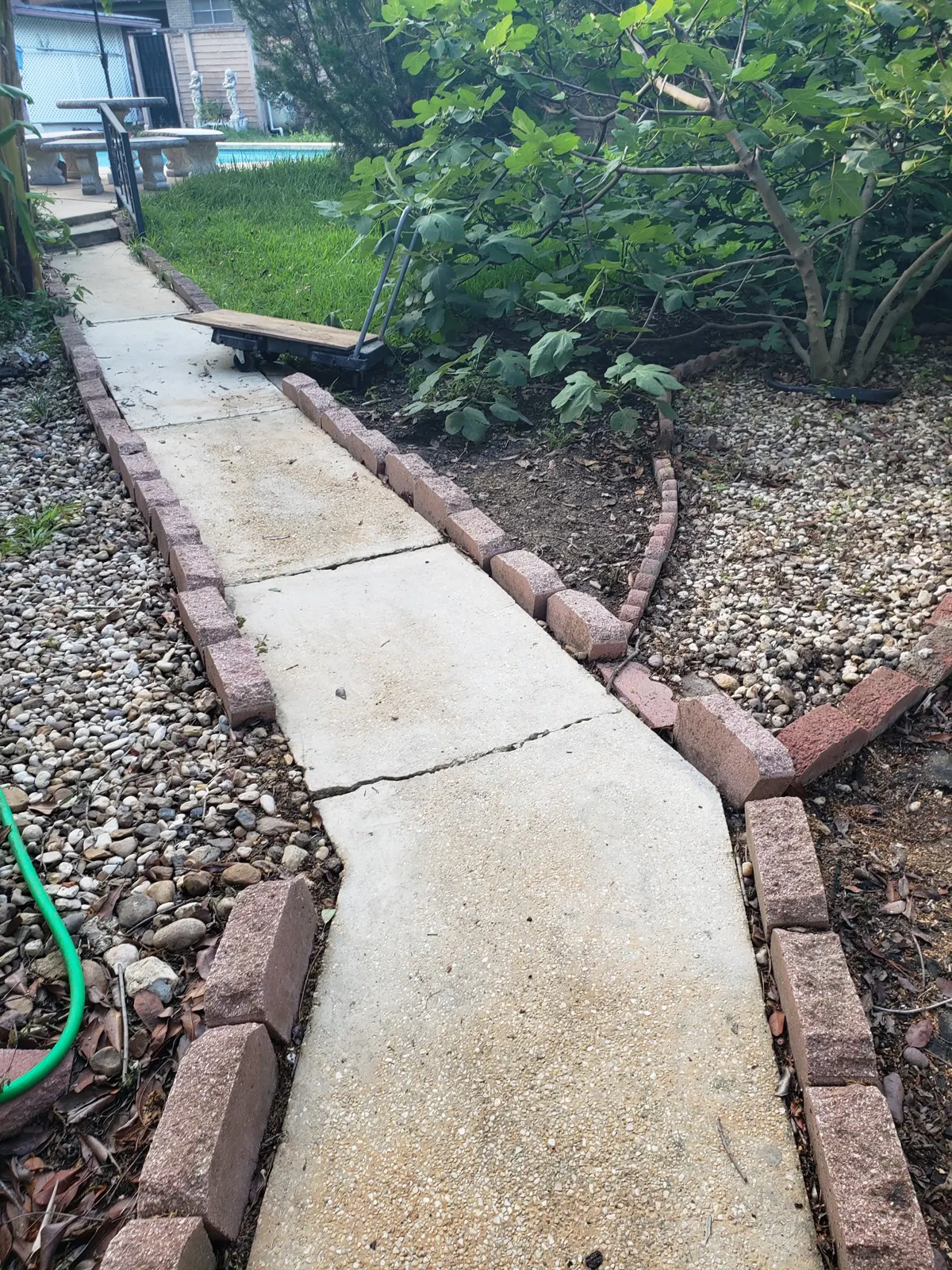 Walkway after cleaning