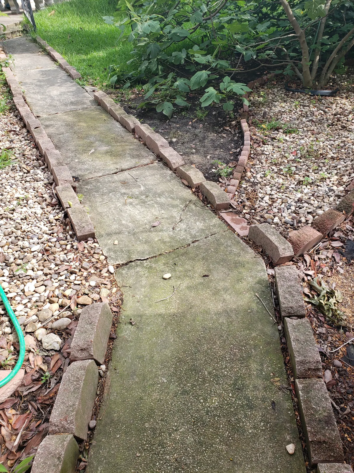 Walkway before cleaning